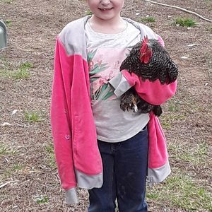 Meet your Posher, Andy